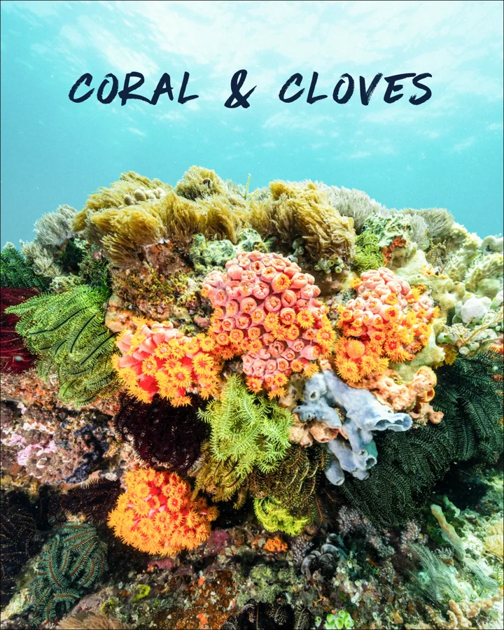 Coral and Cloves: 11 days, Sorong → Ternate