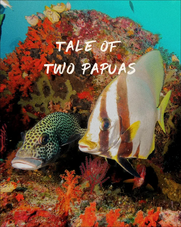 Tale of Two Papuas: 12 days, Kaimana → Sorong
