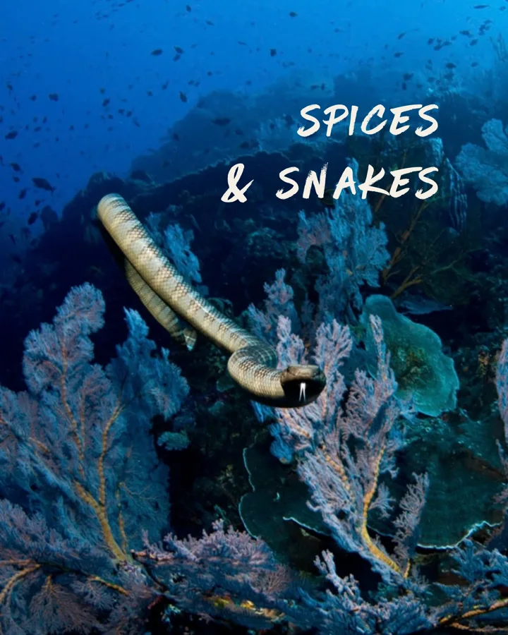 Spices and Snakes: 12 days, Maumere → Ambon