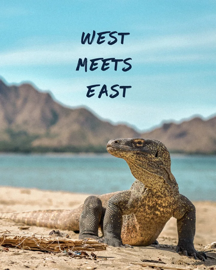 West Meets East: 11 days, Bali → Maumere