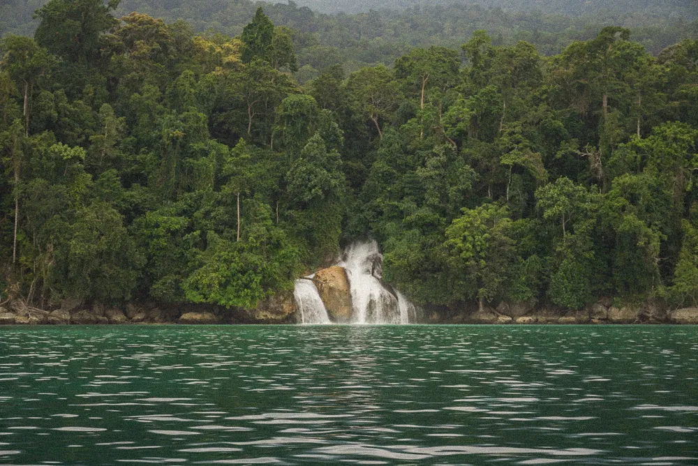 A waterfall tumbling into the sea from the rainforest.