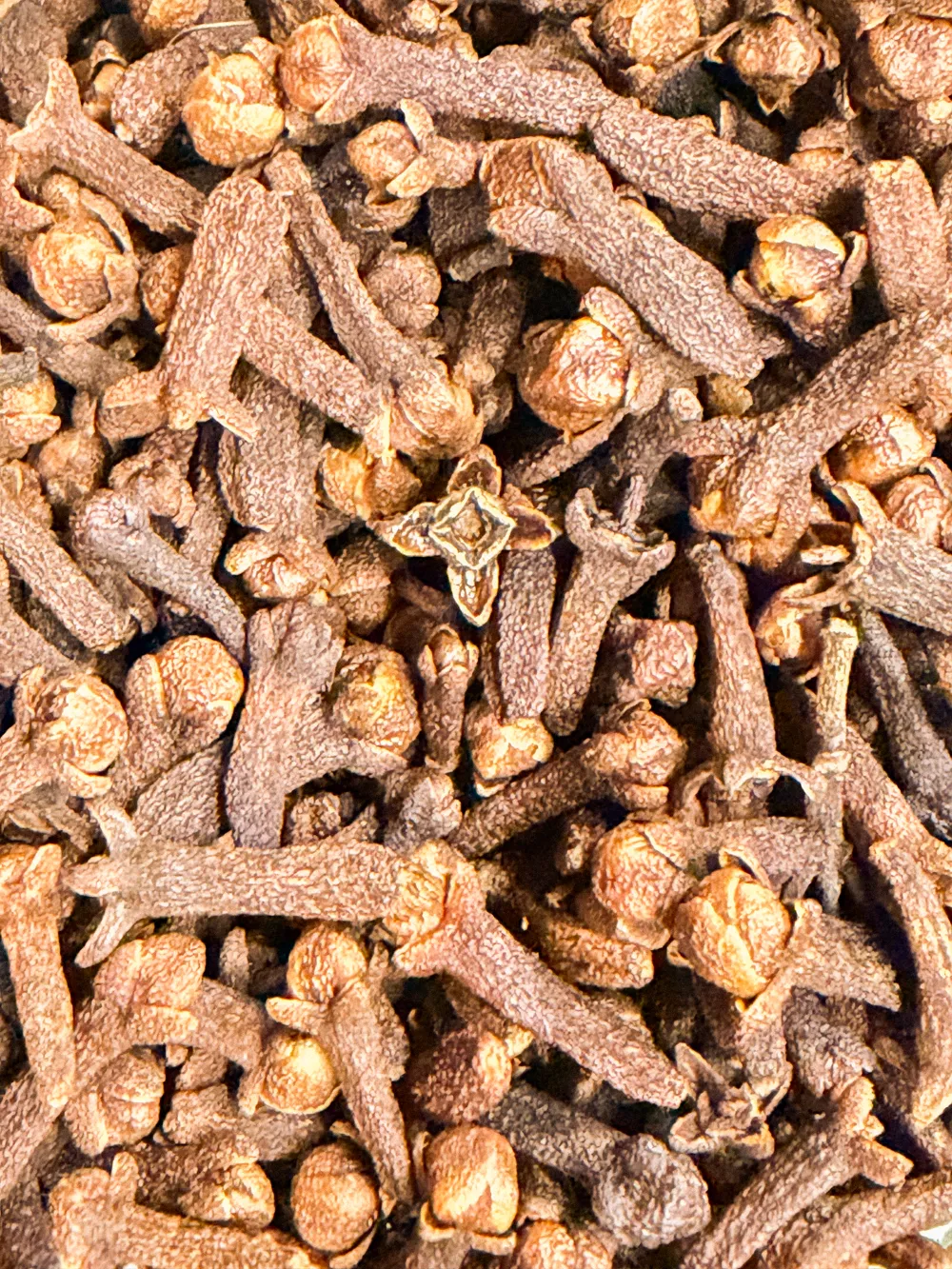 Dried cloves, close up.