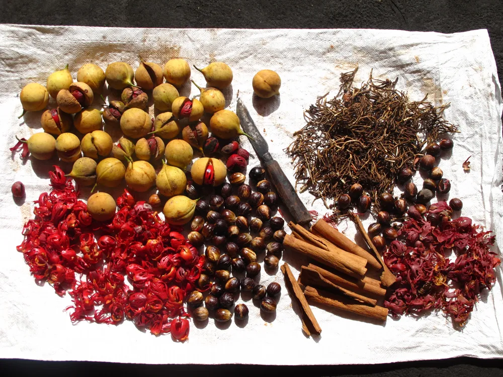 Spices, red and brown, in close-up.