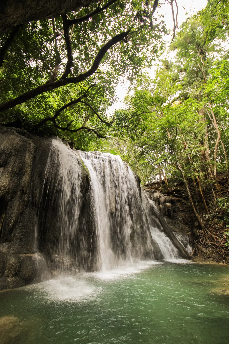 A waterfall into a green pool.