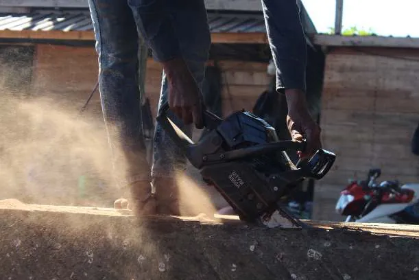 Close-up of a power planer shaping timber, with sawdust flying