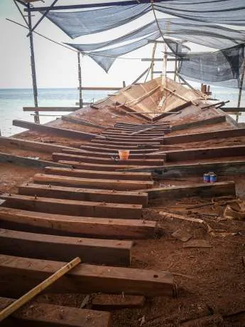 Rows of ribs along the keel