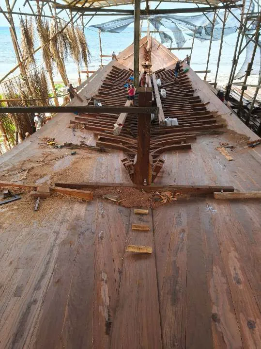 The keel and floor timbers seen from above