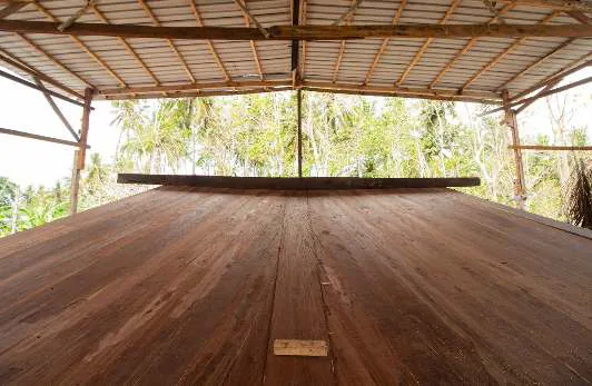 The broad planked hull under the shed roof, palm trees behind