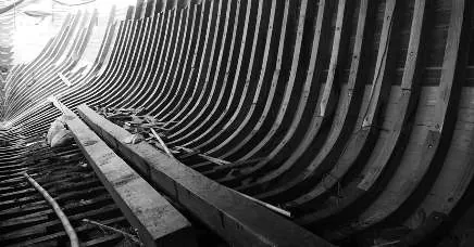 Black-and-white wide view of the long curve of ribs