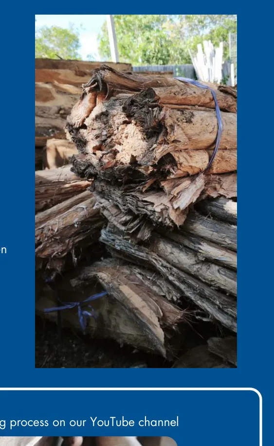 Bundles of Gelam bark tied with blue cord at the shipyard