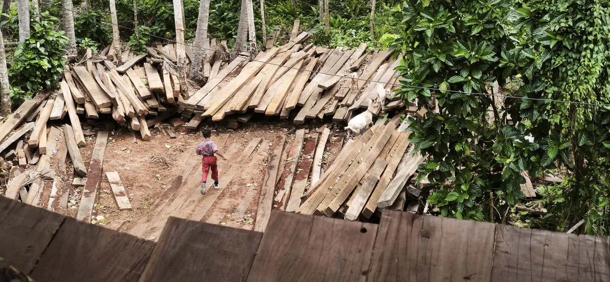 A child and a goat among stacks of timber next to the shipyard