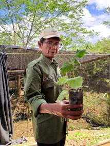A man in a cap holding up a tree seedling in its pot