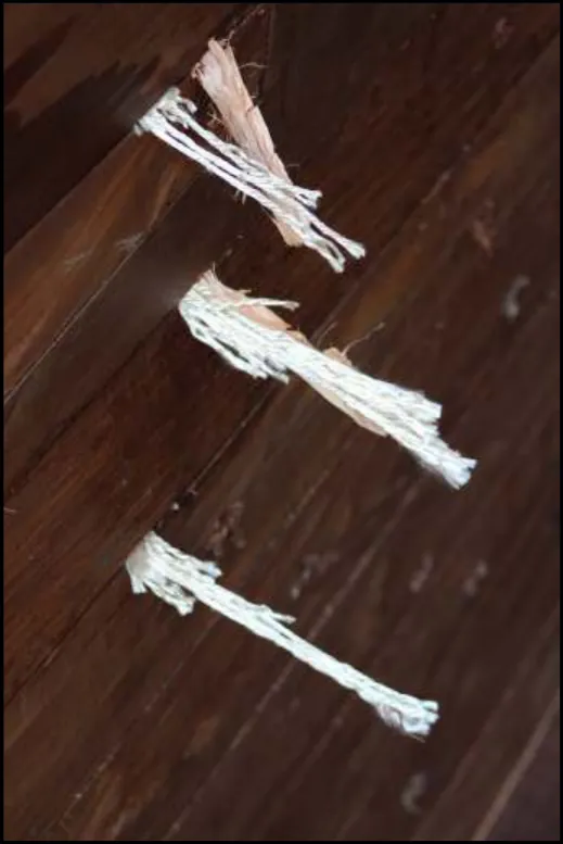 Close-up of caulking fibres sticking out of the seams between planks