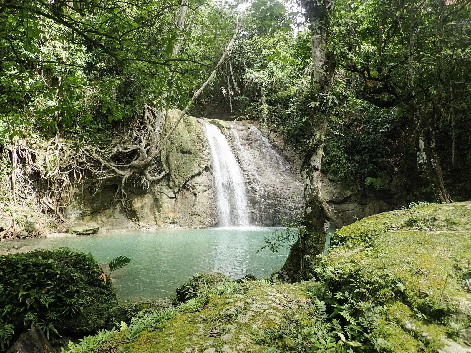 A waterfall tumbling into a turquoise pool in the rainforest.